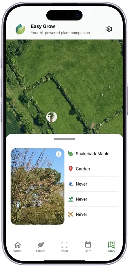 Easy Grow interactive garden map showing plant placements across rooms in a home