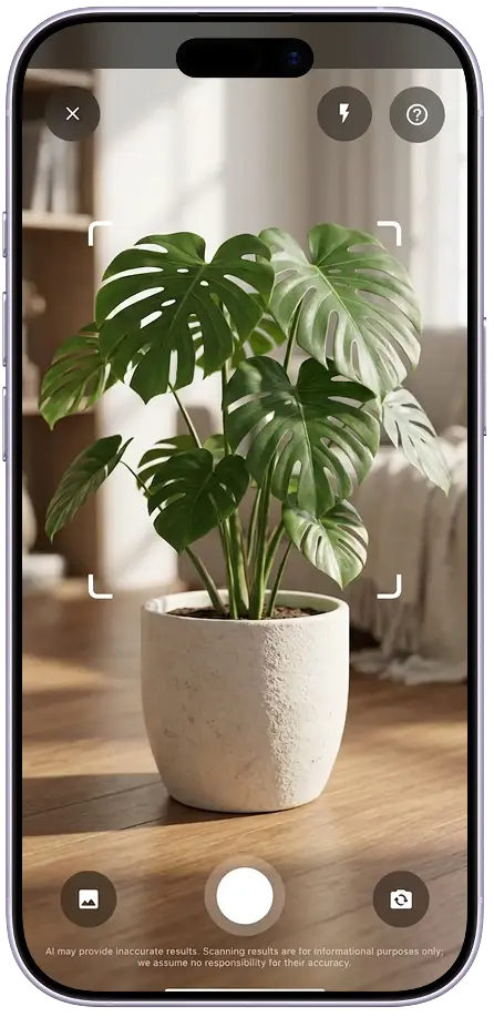 Easy Grow plant scanner identifying a monstera deliciosa with species name and care tips